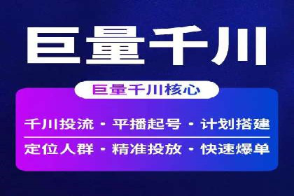 竞价广告在XX行业的成功应用案例